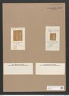 Stauroneis wittrockii Lagerst. (de-Toni-Nr.: Genus 6, Species 924) Zeichnungen Sammlung Grunow Nr. 1781 (NHMW-BOT-W0368681)
